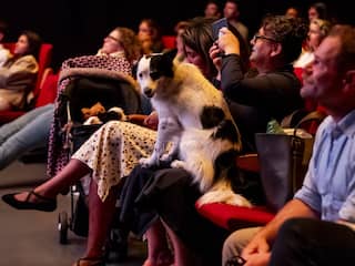 Honden mogen in Rotterdam mee naar de film in speciale 'dog cinema'