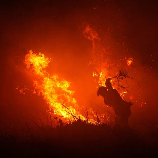 Illustratie bij: Enorme bosbranden in Indonesië zijn grootste bron van CO2-uitstoot ter wereld