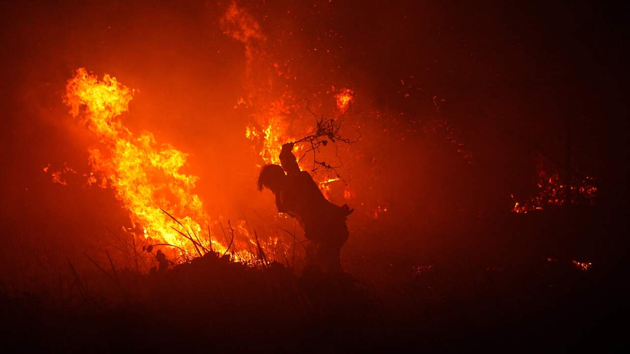 Foto bij Enorme bosbranden in Indonesië zijn grootste bron van CO2-uitstoot ter wereld