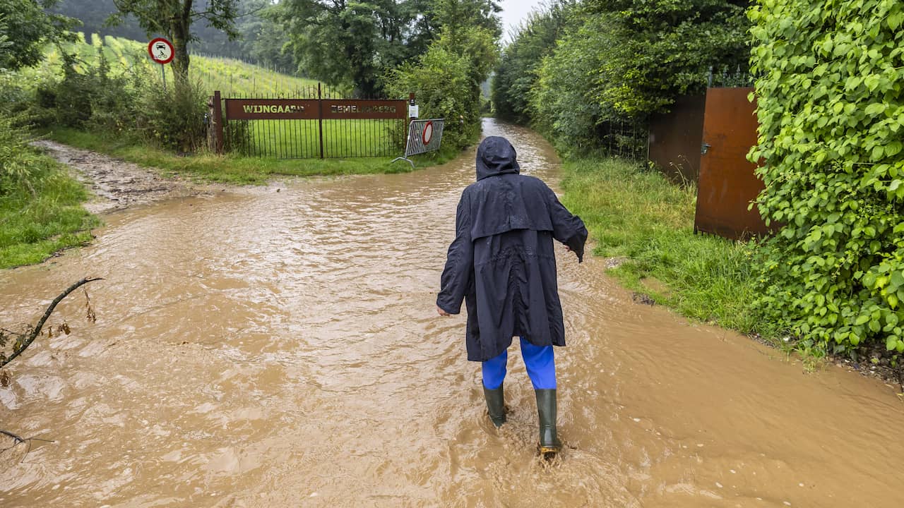 Code geel wegens langdurige regen en mogelijke wateroverlast in Limburg | Binnenland | NU.nl