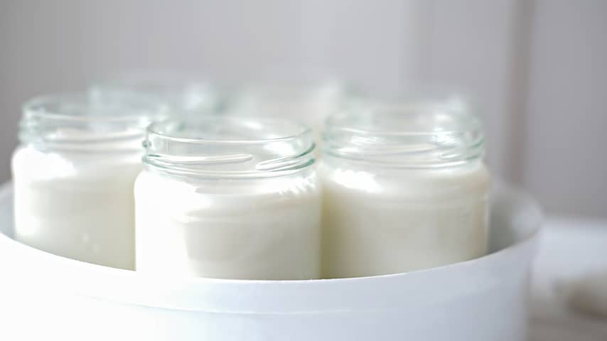 Zelf yoghurt maken is een fluitje van een cent | Eten en drinken | NU.nl