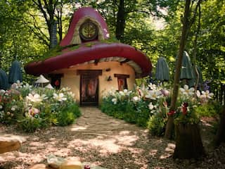 In dit Belgische boshuisje kan je een dag als Smurf leven