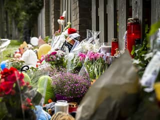 Politie beschreef verdachte in zaak rond dood Gino als 'ernstig beschadigd'