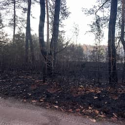 Live natuurbrand Veluwe | Brandweer verwacht dat brand zich niet verder uitbreidt