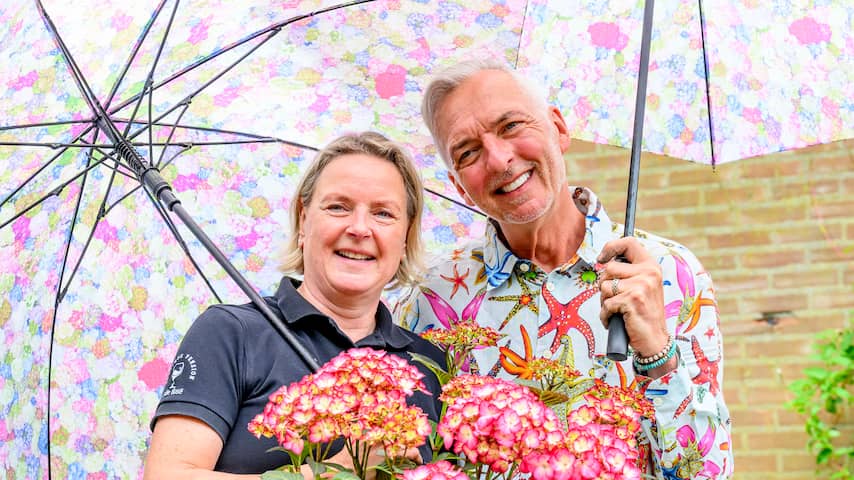 Familie Meiland komt met eigen bioscoopfilm: 'Kroon op ons werk' | Films &  Series | NU.nl