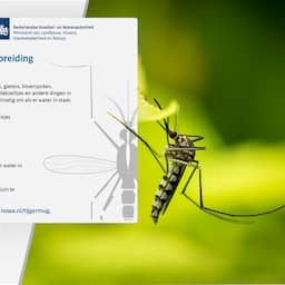 Tienduizenden huishoudens per brief gewaarschuwd voor tijgermug in de buurt