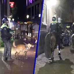 Video | Politiehonden en -paarden verjagen krakers in Amsterdam
