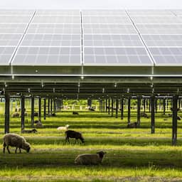 Steeds meer groene stroom: zonneparken in Nederland groeiden laatste jaren explosief