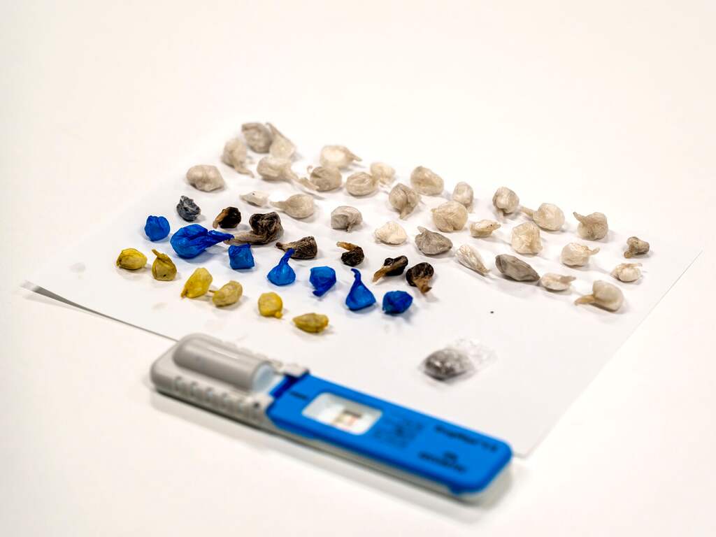 Politie vindt bij controle 50 bolletjes drugs in onderbroek Haagse automobilist