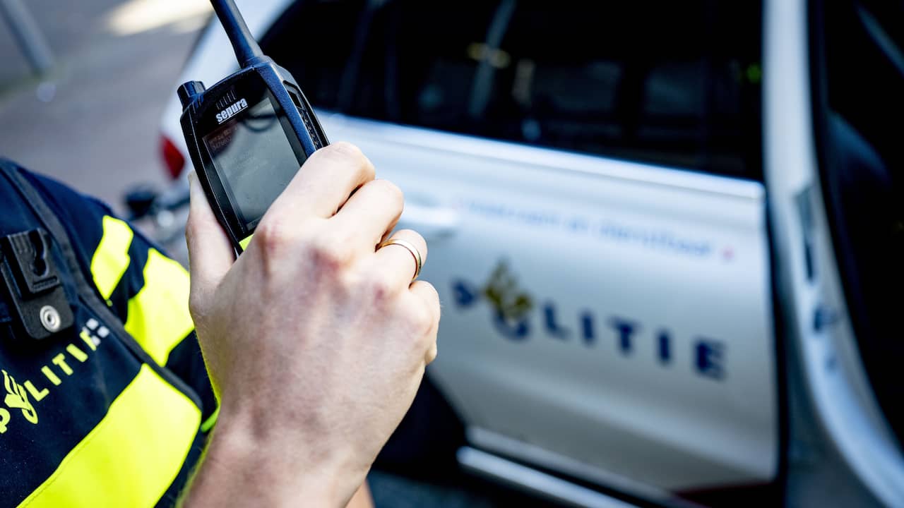 Kinderen vluchten in gestolen auto voor politie en botsen op boom in Zeeland