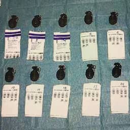 OM eist 8 jaar tegen Fransman die wapenarsenaal met granaten wilde smokkelen