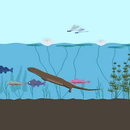 Video | Nederlandse wateren van slechte kwaliteit: hoe meten we dat?