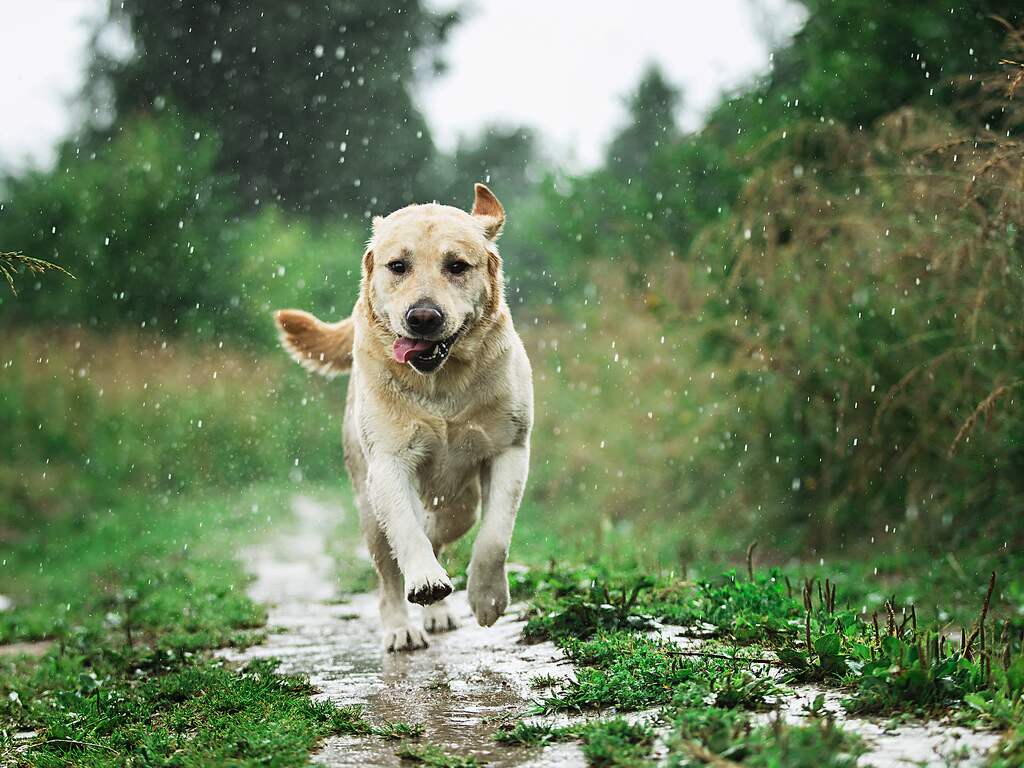 Weerbericht | Zondag doet zijn naam geen eer aan
