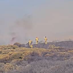 Brand uitgebroken bij strand van Wassenaar, vuur trekt snel de duinen in