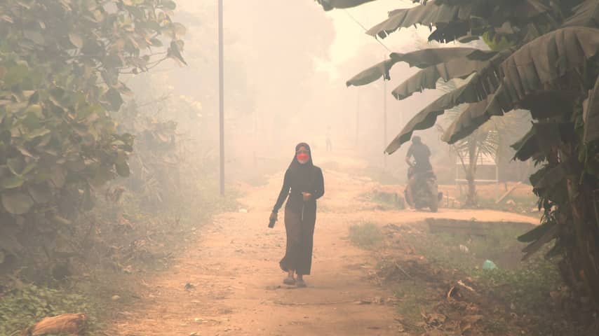 Bosbranden in Indonesië, oktober 2026.