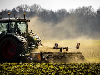 Van nat 2024 naar kurkdroge lente: natuur heeft last van 'whiplash' in de bodem