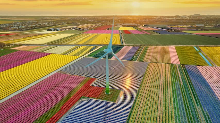 Deko-Shop-Hannusch Große Windmühlen Wahlweise Mit Solarbeleuchtung Hoehe 1,30 Oder 1,45 Meter, Farbe Groesse.1.45m Rot 4611190072