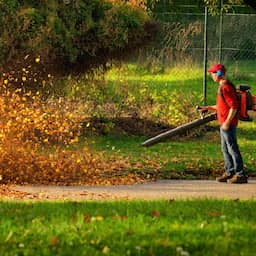 Zürich staat gebruik van bladblazers alleen nog in de herfst toe