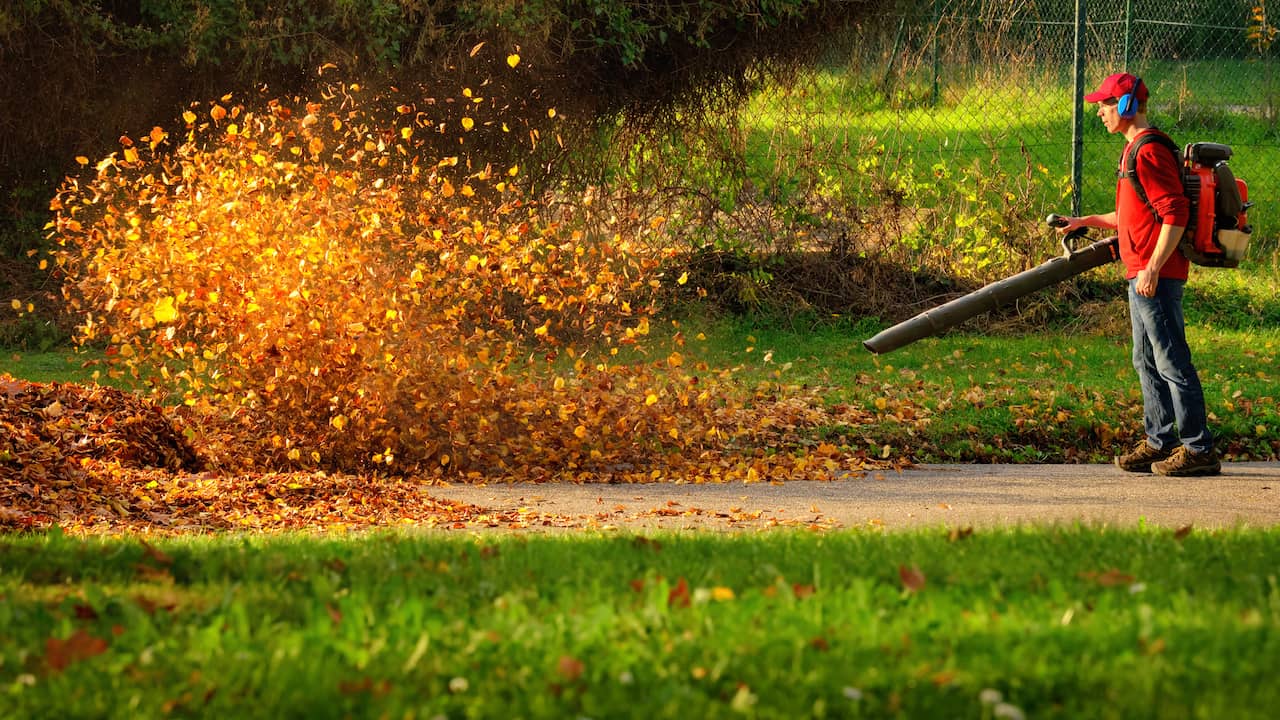 Zürich staat gebruik van bladblazers alleen nog in de herfst toe
