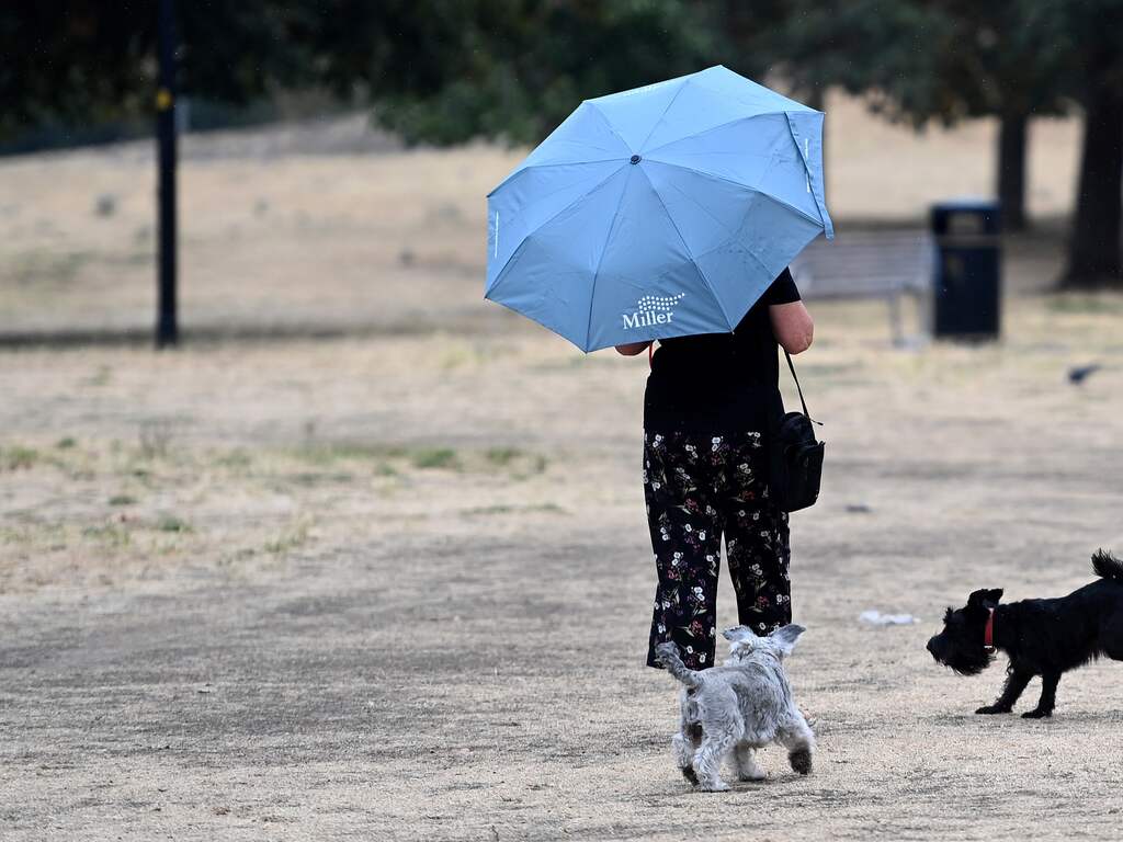 Weerbericht | Knorrig het weekend in met buien, hagel en windstoten