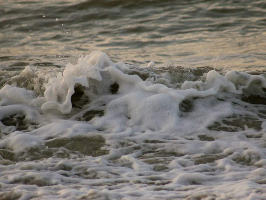 De harde wind die nu over Nederland trekt kan tot maandag aanhouden. Dan draait de wind op steeds meer plaatsen naar west tot noordwest en neemt af naar zwak tot matig.