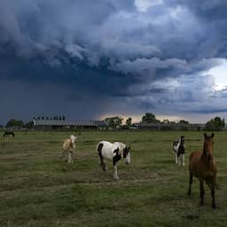Vanmiddag tropische hitteén code geel in delen van het land vanwege onweer