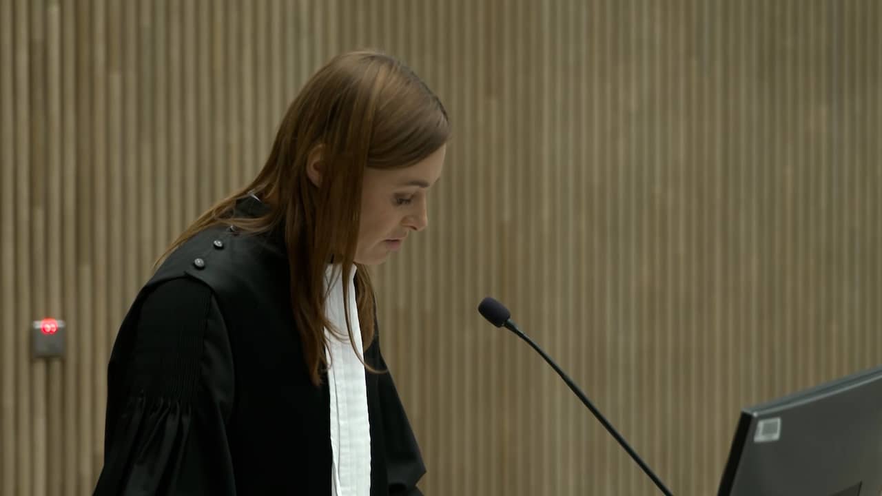 Video | OM beschrijft laatste telefoongesprek van vermoorde Lisa met 112