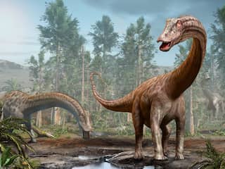 Spaanse onderzoekers vinden bewijs dat 'iconische' diplodocus in Europa leefde