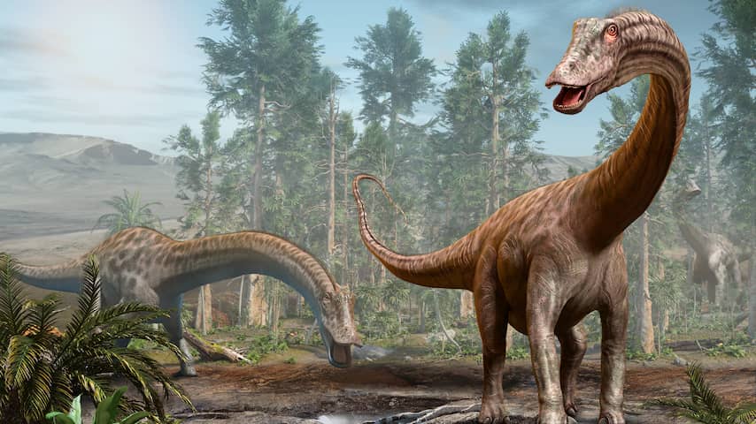 Spaanse onderzoekers vinden bewijs dat 'iconische' diplodocus in Europa leefde