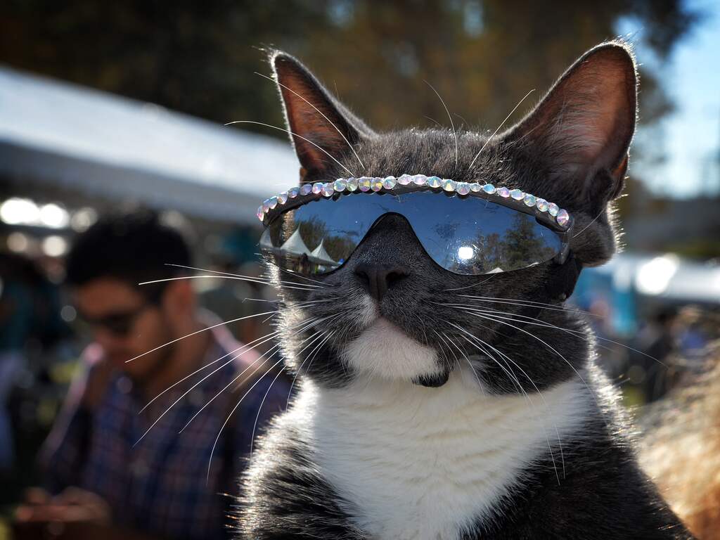 Weerbericht | Na koude aftrap loopt het kwik snel op en is er zon