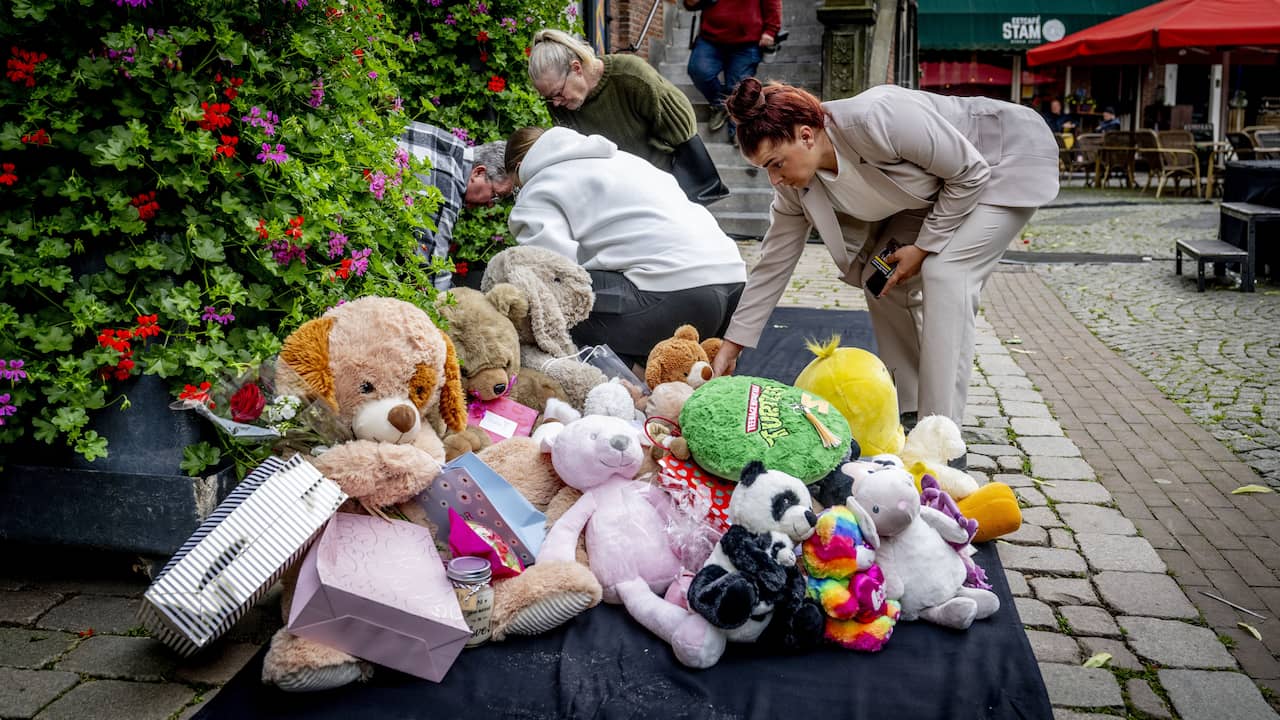 Pleegvader uit Vlaardingen heeft pleegmeisje volgens advocaat niet geslagen