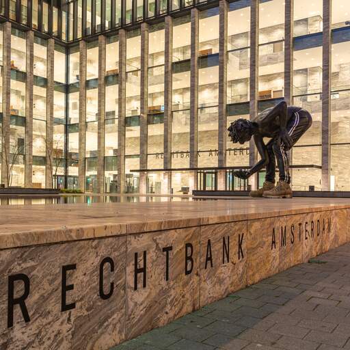 Illustratie bij: Vier jaar cel en tbs voor sekswerker die voormalige huisbaas doodstak