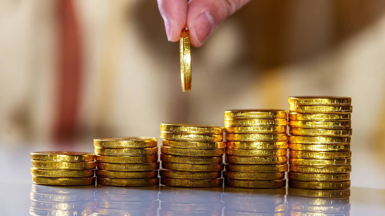 Oplichters stelen 20.000 euro aan virtuele munten van Haagse  cryptobeleggers | Den Haag | NU.nl