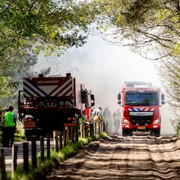 Live natuurbanden | Asielzoekers kunnen terug naar azc Budel na draaien wind