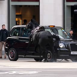 Drie Britse militairen gewond nadat paarden op hol slaan in centrum van Londen