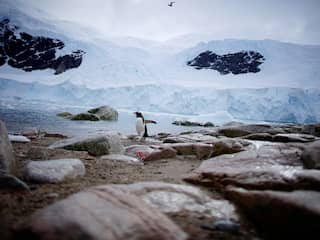Wetenschappers ontdekken tienduizenden nieuwe heuvels onder ijs op Antarctica