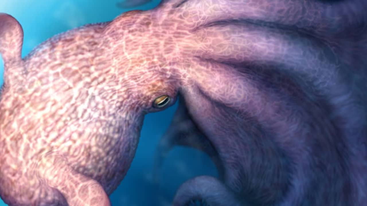 Reusachtige octopus die op mythologische kraken leek zwom rond op aarde