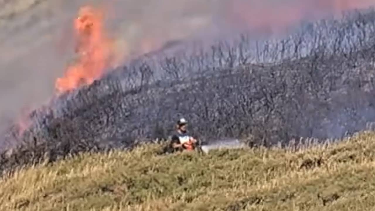 Video | Man gaat met brandblusser vuur in duinen Wassenaar te lijf