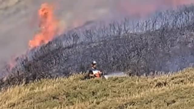 Man met brandblusser gaat in zijn eentje duinbrand Wassenaar te lijf