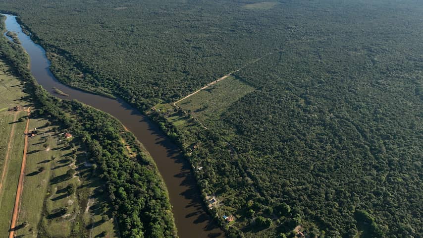Failed soy agreement leads to major deforestation in the Amazon
