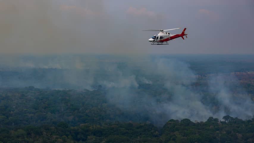 Ontbossing Amazone op laagste niveau, omslag dreigt met verkiezing Bolsonaro