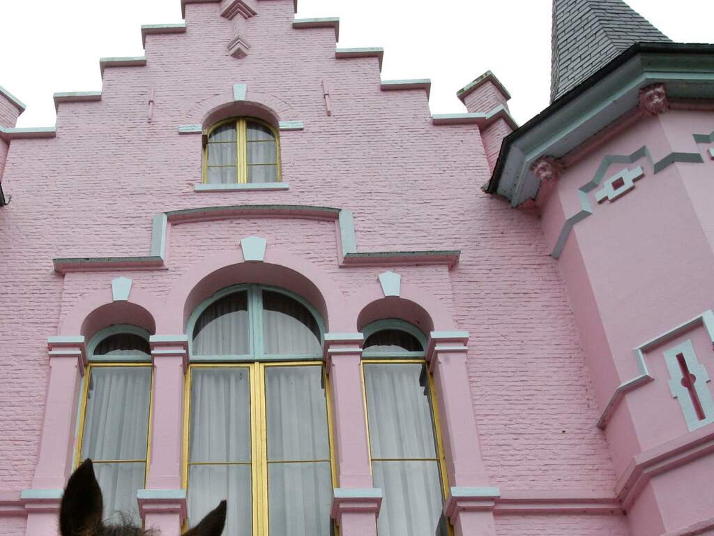 Politie betrapt twee jongens in voormalig 'roze kasteel' van Land van Ooit