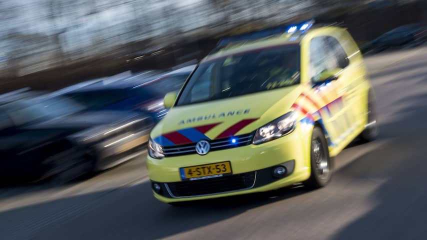 Twee honden dood door aanrijding in Oss, eigenaar wordt onwel en overlijdt  ook | Binnenland | NU.nl