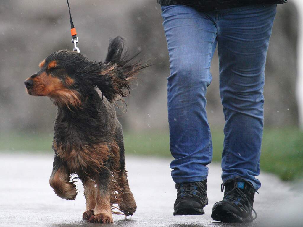 Weerbericht | In de middag felle buien met onweer