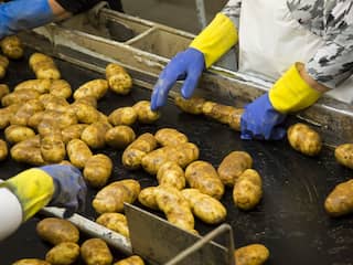 Toch geen doorstart voor aardappel- en frietproducent CêlaVíta