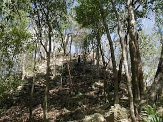 Mayastad met piramidetempel ontdekt in Mexicaans oerwoud