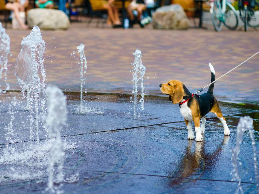 Weerbericht: Eerst nog mistig, maar 's middags overal zomers warm