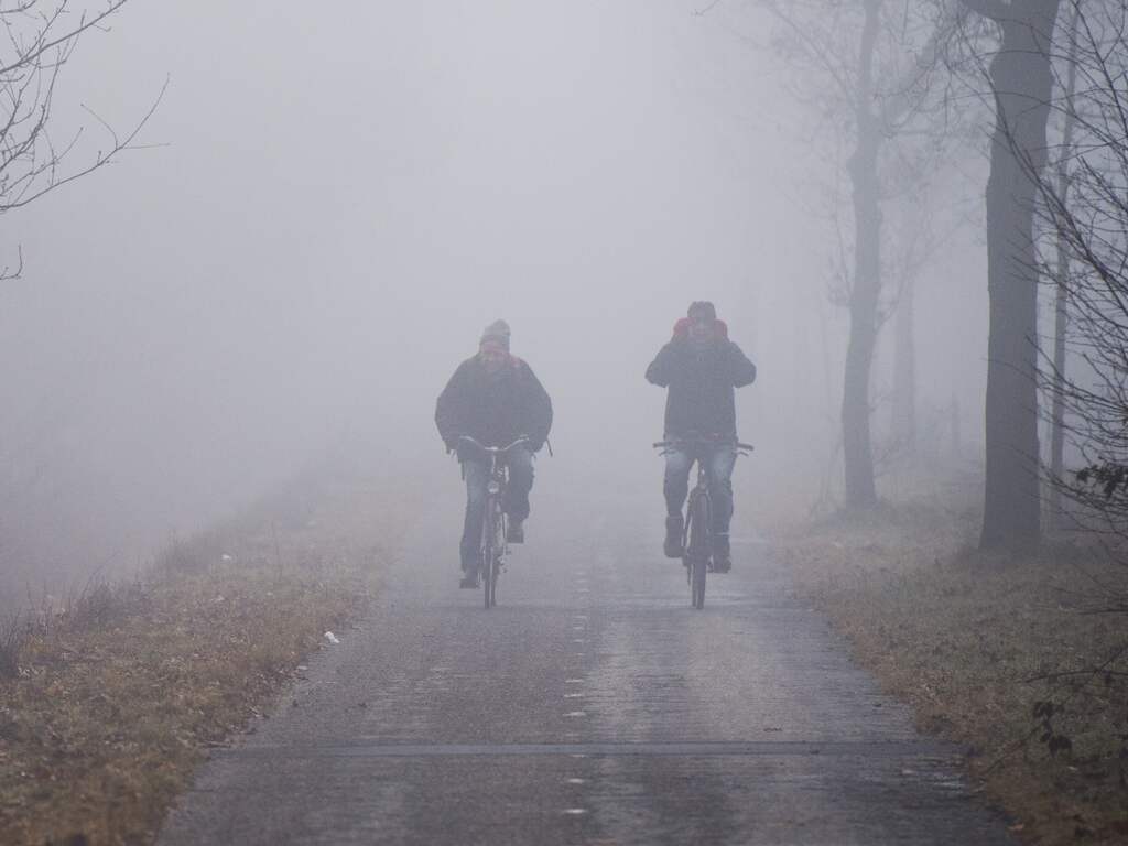 Hou je aan deze basisregels, en je komt veilig door dichte mist