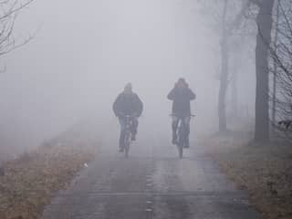 Hou je aan deze basisregels, en je komt veilig door dichte mist