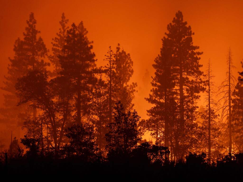 Bosbrand Californië een van de grootste ooit in de Amerikaanse staat